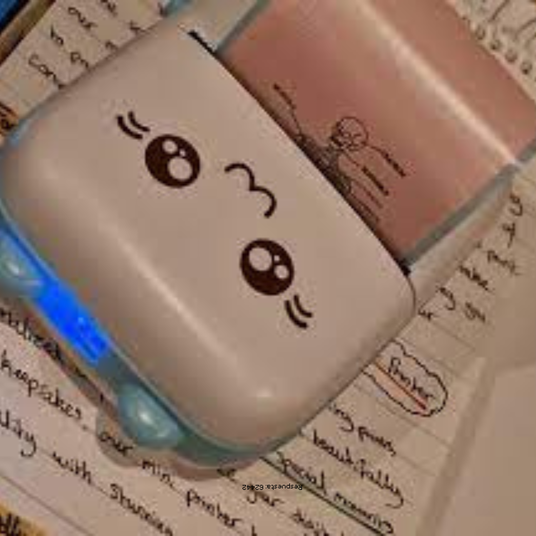 Mini Impresora